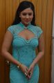 Actress Nikesha Patel New Hot Images