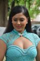 Tamil Actress Nikesha Patel New Hot Images