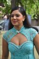 Actress Nikesha Patel New Hot Images