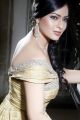 Actress Nikesha Patel New Hot Photoshoot Images