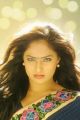 Tamil Actress Nikesha Patel New Photoshoot Images