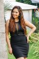 Actress Nikesha Patel New Photoshoot Stills