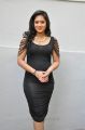 Actress Nikesha Patel Hot Stills in Black Tight Skirt