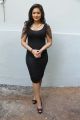 Actress Nikesha Patel Hot Stills in Tight Black Skirt