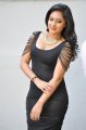 Actress Nikesha Patel Hot in Black Tight Skirt Stills