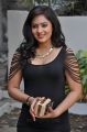 Telugu Actress Nikesha Patel Hot in Black Skirt Stills