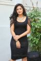 Telugu Actress Nikesha Patel Hot in Black Skirt Stills