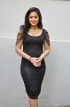 Actress Nikesha Patel Hot in Black Tight Skirt Stills