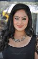 Actress Nikesha Patel Hot Stills in Black Tight Skirt