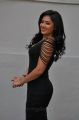 Actress Nikesha Patel Hot in Black Skirt Stills