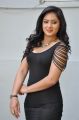 Telugu Actress Nikesha Patel Hot in Black Skirt Stills