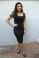 Actress Nikesha Patel Hot in Black Skirt Stills