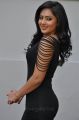 Actress Nikesha Patel Hot Stills in Tight Black Skirt