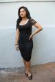 Actress Nikesha Patel Hot Stills in Tight Black Skirt