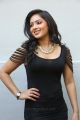 Telugu Actress Nikesha Patel Hot in Black Skirt Stills