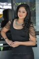 Actress Nikesha Patel Hot Stills in Tight Black Skirt