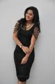 Actress Nikesha Patel Hot in Black Skirt Stills