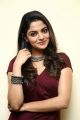 Tamil Actress Nikhila Vimal Photoshoot Stills