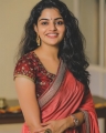 Tamil Actress Nikhila Vimal New Photoshoot Images