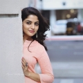 Tamil Actress Nikhila Vimal New Photoshoot Images