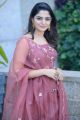 Donga Movie Actress Nikhila Vimal Interview Pictures