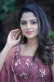 Donga Movie Actress Nikhila Vimal Interview Pictures