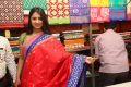 Actress Nikita Bisht Stills @ Pochampally IKAT art Mela 2017