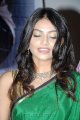 Nikita Narayan Hot Saree Stills