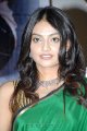 Nikita Narayan Hot Saree Stills