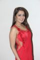Actress Nikitha in Red Saree Hot Stills