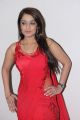 Actress Nikitha Hot Stills in Red Dress