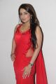 Actress Nikitha in Red Saree Hot Stills