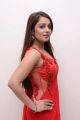 Actress Nikitha in Red Saree Hot Stills