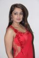 Actress Nikitha in Red Saree Hot Stills