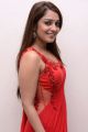 Actress Nikita Thukral in Red Saree Hot Stills