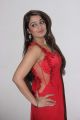 Actress Nikitha Hot Stills in Red Saree