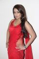 Actress Nikitha Hot Stills in Red Saree