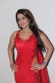 Actress Nikitha in Red Saree Hot Stills