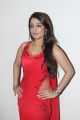Actress Nikitha Hot Stills in Red Saree