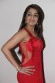 Actress Nikita Thukral in Red Saree Hot Stills