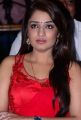Actress Nikitha in Red Dress @ Terror Press Meet