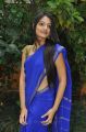 Actress Nikitha Narayan Latest Photos in Blue Saree