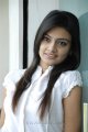 Nikitha Narayan Photo Shoot Stills