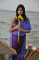 Nikitha Narayan in Saree Stills