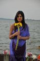Nikitha Narayan in Saree Stills