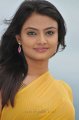Nikitha Narayan Cute Saree Stills