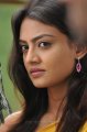 Nikitha Narayan Cute Stills