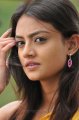 Nikitha Narayan Cute Stills