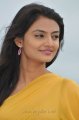 Cute Nikitha Narayan Yellow Saree Stills