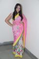 Actress Nikitha Narayan Hot in Pink Saree Photos